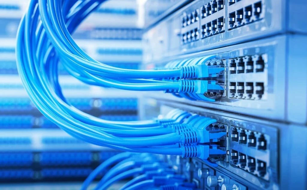 Blue Ethernet patch cables connected to a network switch